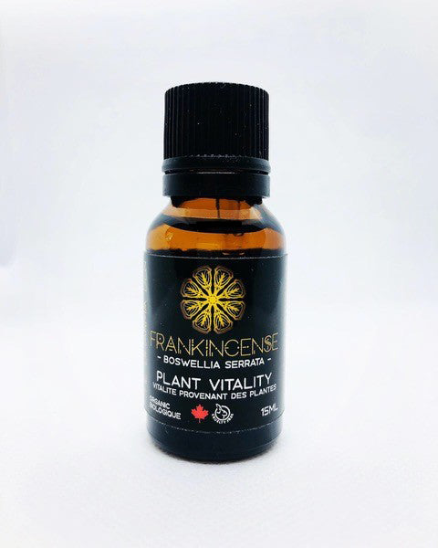 Frankincense | Organic, 100% pure, undiluted essential oil